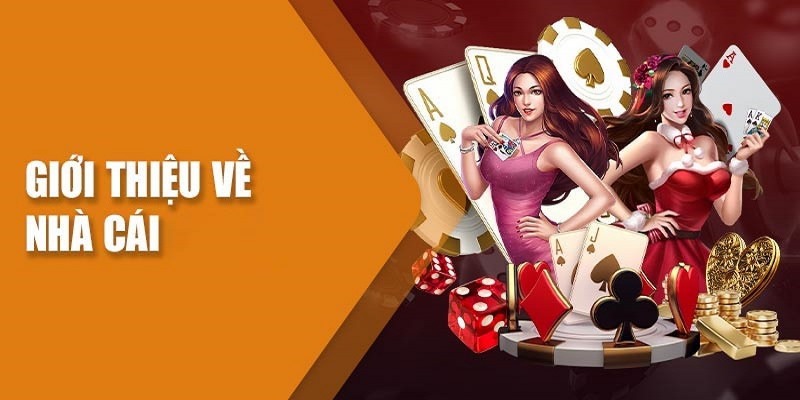 Giới thiệu tổng quan đôi nét về i9bet